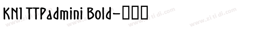 KN1 TTPadmini Bold字体转换